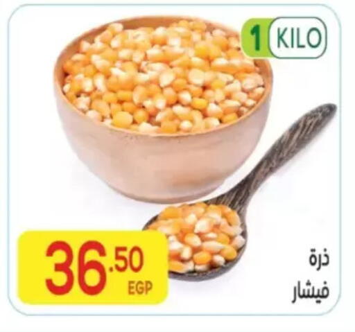 available at المحلاوي ماركت in Egypt - القاهرة