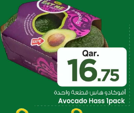 Avocado available at Mark & Save  in Qatar - Doha