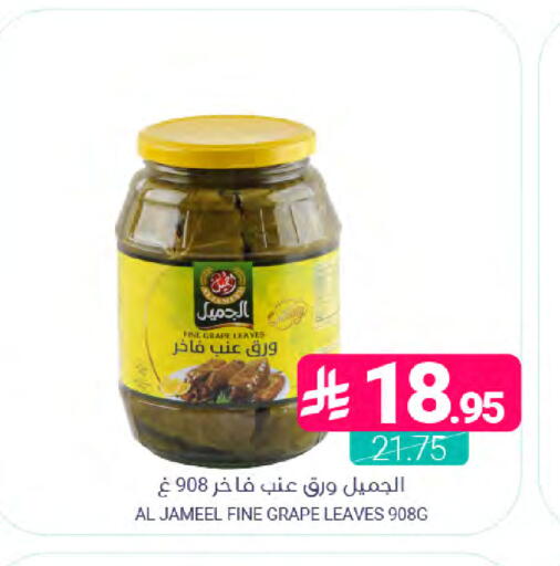 available at اسواق المنتزه in مملكة العربية السعودية, السعودية, سعودية - القطيف‎