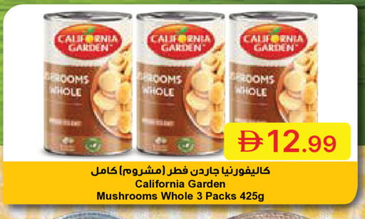 available at جمعية الامارات التعاونية in الإمارات العربية المتحدة , الامارات - دبي