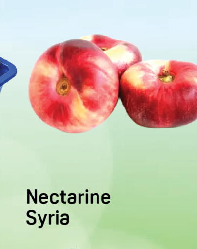 Nectarine from Syria available at Day to Day Department Store in UAE - Dubai