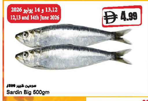 available at Almaya Supermarkets in UAE - Dubai