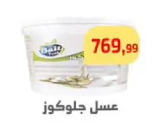 available at مؤسسة ايهاب البرنس in Egypt - القاهرة