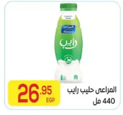 available at المحلاوي ماركت in Egypt - القاهرة