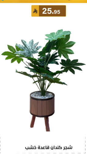available at الحسين توب أب in مملكة العربية السعودية, السعودية, سعودية - المنطقة الشرقية
