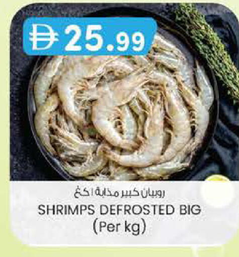 available at ك. الم. للتجارة in الإمارات العربية المتحدة , الامارات - ٱلْفُجَيْرَة‎