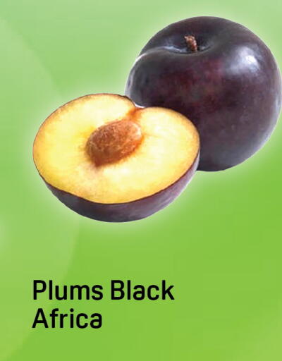 Plums available at Day to Day Department Store in UAE - Dubai