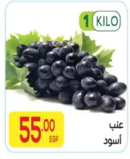 available at المحلاوي ماركت in Egypt - القاهرة