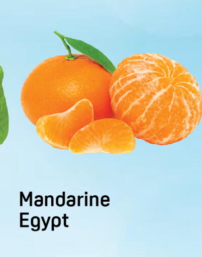 from Egypt available at Day to Day Department Store in UAE - Dubai