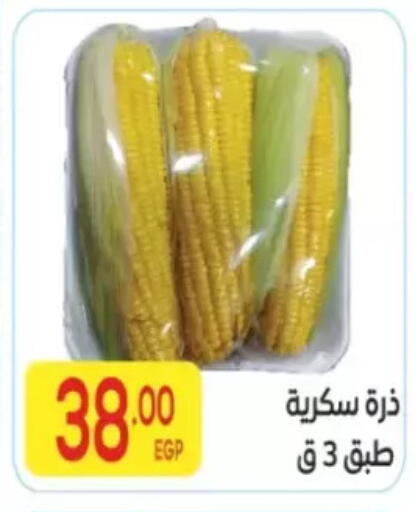 available at المحلاوي ماركت in Egypt - القاهرة