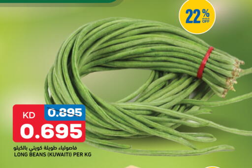 from Kuwait available at أونكوست in الكويت - مدينة الكويت