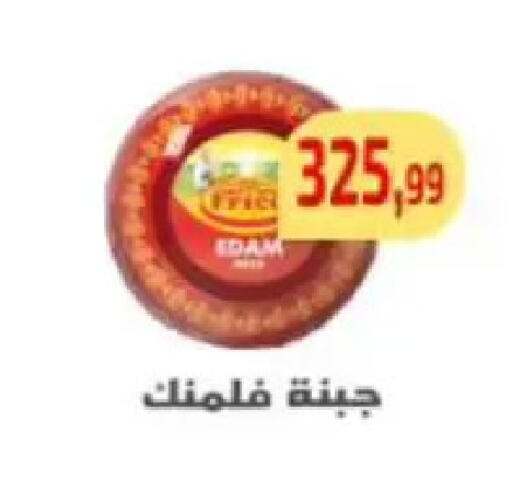 available at مؤسسة ايهاب البرنس in Egypt - القاهرة