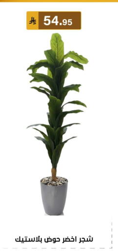 available at الحسين توب أب in مملكة العربية السعودية, السعودية, سعودية - المنطقة الشرقية