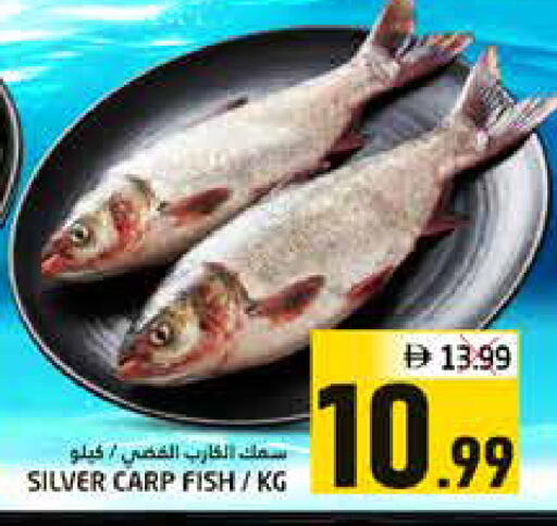 available at Pasons Hypermarket in UAE - Fujairah