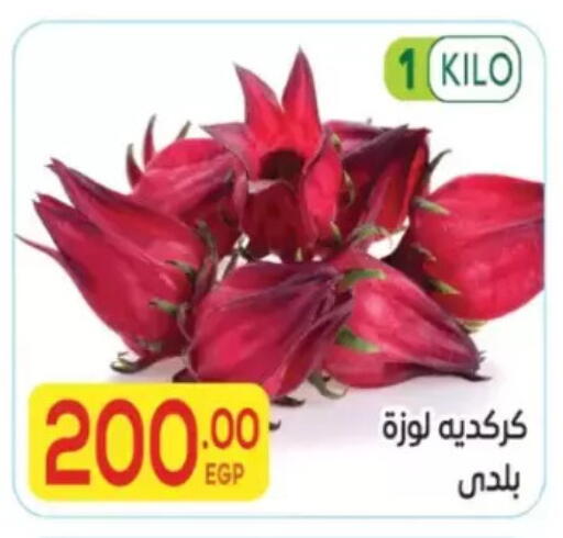 available at المحلاوي ماركت in Egypt - القاهرة