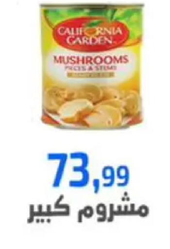 available at مؤسسة ايهاب البرنس in Egypt - القاهرة