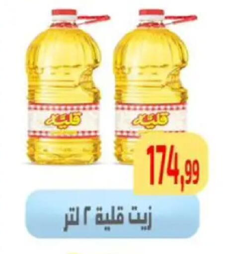 available at مؤسسة ايهاب البرنس in Egypt - القاهرة