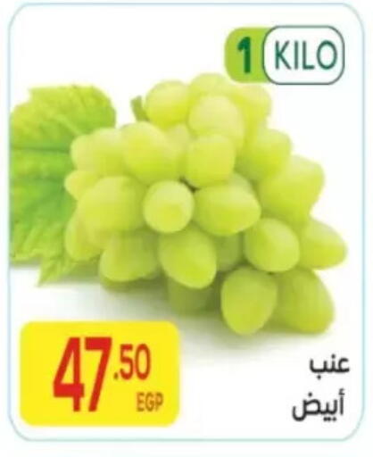 available at المحلاوي ماركت in Egypt - القاهرة