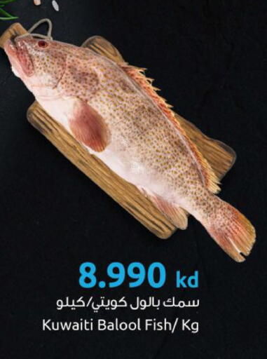 available at مركز سلطان in الكويت - مدينة الكويت