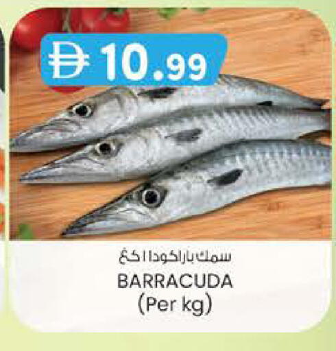 available at K M Trading  in UAE - Abu Dhabi