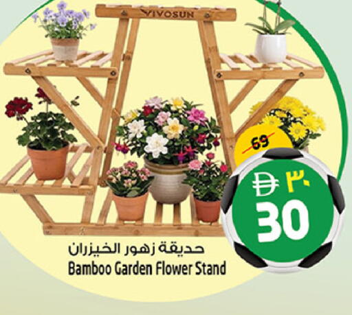 available at Safari Hypermarket  in UAE - Dubai