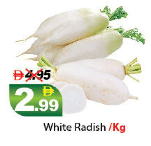 Radish available at DESERT FRESH MARKET  in UAE - Abu Dhabi