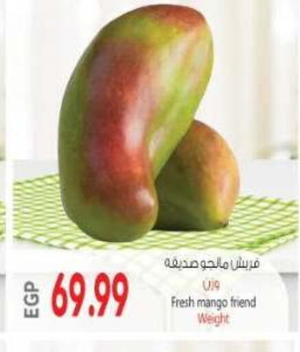 Mango available at El.Husseini supermarket  in Egypt - Cairo