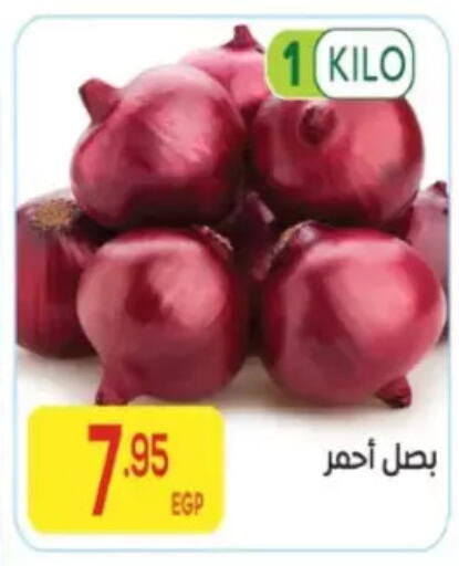 available at المحلاوي ماركت in Egypt - القاهرة