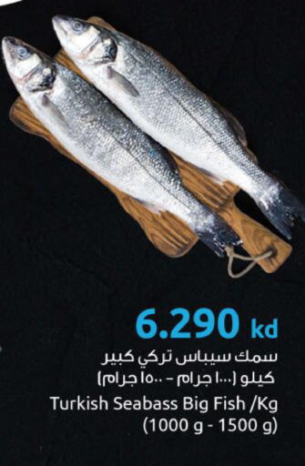 available at مركز سلطان in الكويت - مدينة الكويت