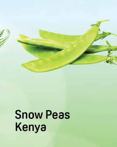 Peas from Kenya available at Day to Day Department Store in UAE - Dubai