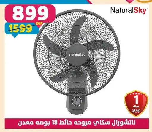 available at Shaheen Center in Egypt - Cairo