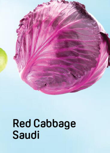 Cabbage from Saudi Arabia available at Day to Day Department Store in UAE - Dubai