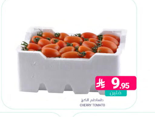 Cherry Cherry tomato available at اسواق المنتزه in مملكة العربية السعودية, السعودية, سعودية - القطيف‎