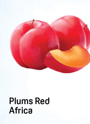 Plums available at Day to Day Department Store in UAE - Dubai