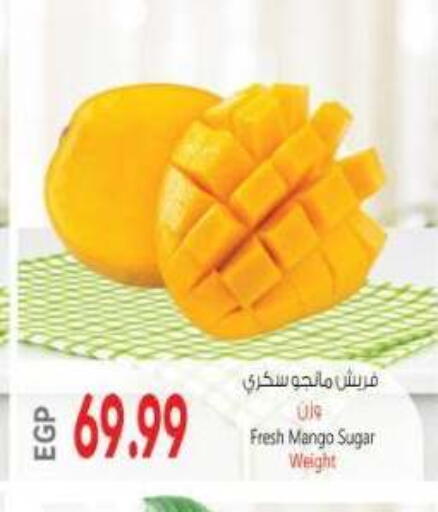 Mango available at El.Husseini supermarket  in Egypt - Cairo