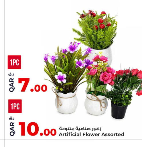 available at Rawabi Hypermarket in Qatar - Doha