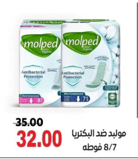 available at Galhom Market in Egypt - Cairo