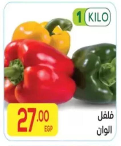 available at المحلاوي ماركت in Egypt - القاهرة
