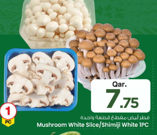 Mushroom available at Mark & Save  in Qatar - Al Daayen