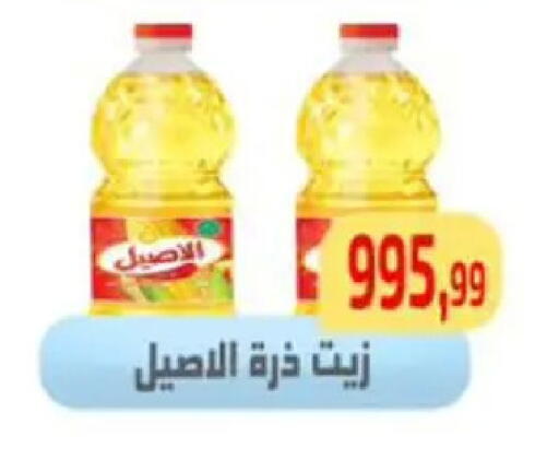 available at مؤسسة ايهاب البرنس in Egypt - القاهرة