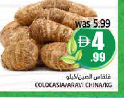 from China available at هايبر ماركت باسونز in الإمارات العربية المتحدة , الامارات - ٱلْفُجَيْرَة‎