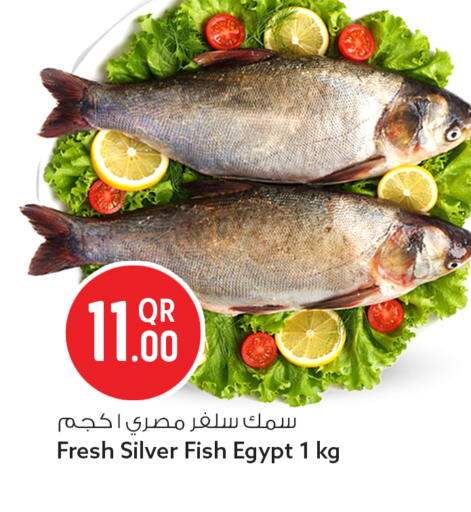 available at Safari Hypermarket in Qatar - Al Shamal