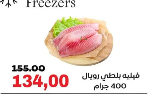available at Galhom Market in Egypt - Cairo