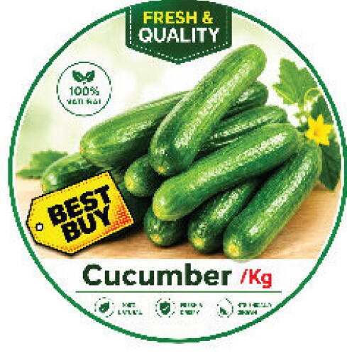 Cucumber available at DESERT FRESH MARKET  in UAE - Abu Dhabi