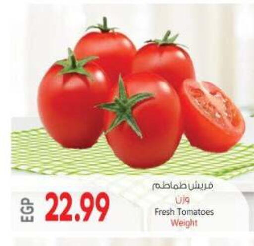 Tomato available at El.Husseini supermarket  in Egypt - Cairo