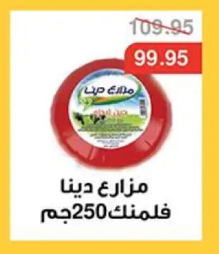 available at Abu Saleh Dairy Market in Egypt - Cairo