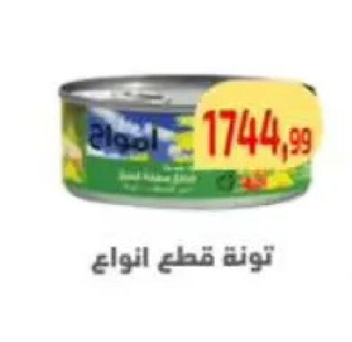 available at مؤسسة ايهاب البرنس in Egypt - القاهرة