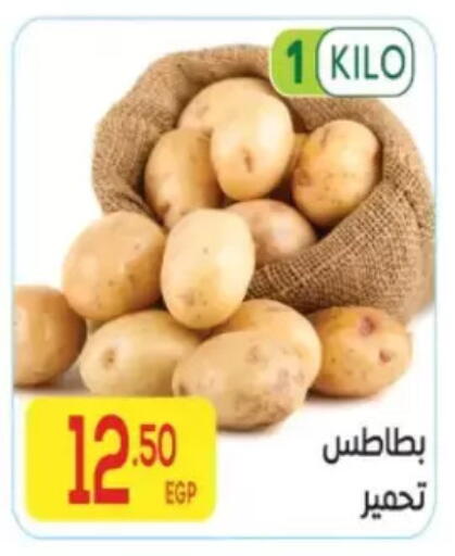 available at المحلاوي ماركت in Egypt - القاهرة