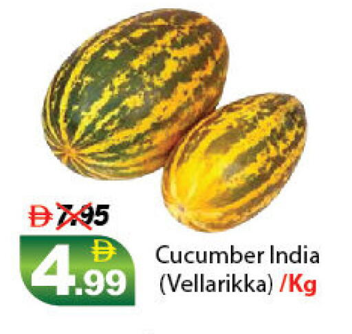 Cucumber from India available at DESERT FRESH MARKET  in UAE - Abu Dhabi