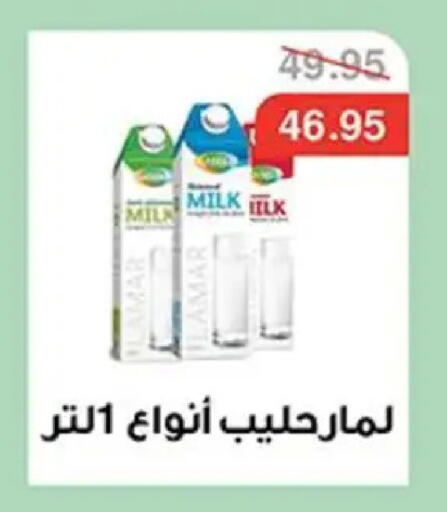 available at أبو صالح ألبان ماركت in Egypt - القاهرة